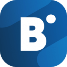 Bidvertiser Logo