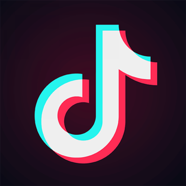 TikTok Logo