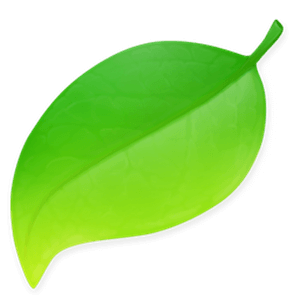 Coda Logo
