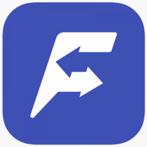 Feem Logo
